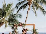 Tropical Weddings 