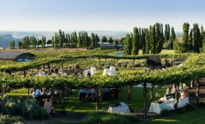 The Most Complete Wedding Vendor and Package in Seattle City