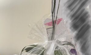 Best wedding gift ideas in San Jose City