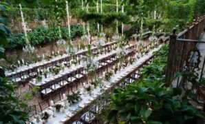 Best Wedding Venues in USA Under $5000