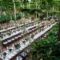 Best Wedding Venues in USA Under $5000