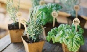 DIY Wedding Favors Your Guests Will Enjoy