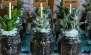 Budget-Friendly Wedding Gifts for Your Guests