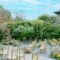 Top Wedding Venues in Kyoto: Perfect Locations Await