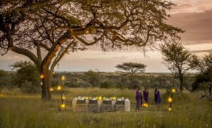 Elegant Safari Wedding Inspiration