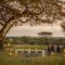Elegant Safari Wedding Inspiration